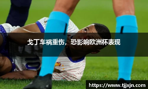 戈丁车祸重伤，恐影响欧洲杯表现