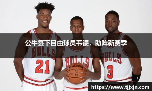 公牛签下自由球员韦德，助阵新赛季