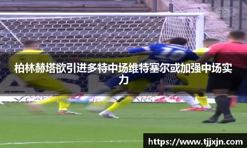 柏林赫塔欲引进多特中场维特塞尔或加强中场实力