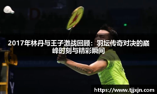 2017年林丹与王子激战回顾：羽坛传奇对决的巅峰时刻与精彩瞬间