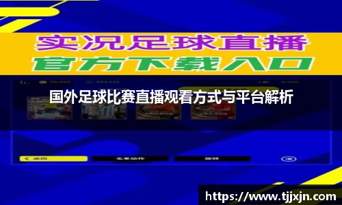国外足球比赛直播观看方式与平台解析