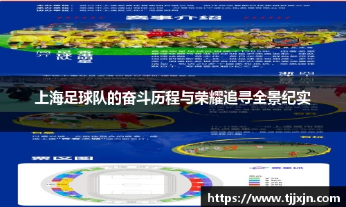 上海足球队的奋斗历程与荣耀追寻全景纪实